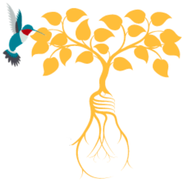 Logo for champlain hospice palliative care program 2021 education day